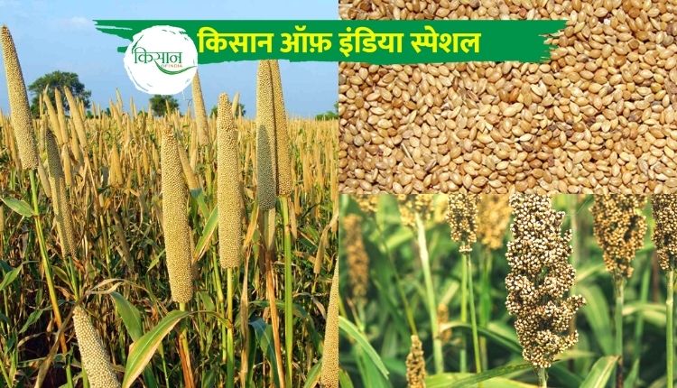 मोटे अनाज की खेती Coarse Grain Farming