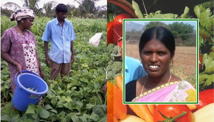 सब्जियों की उन्नत किस्म की खेती vegetable farming