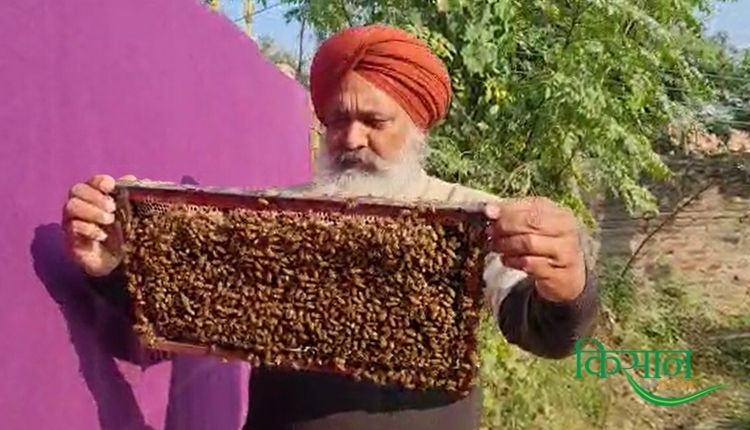 मधुमक्खी पालन व्यवसाय (Beekeeping) apiculture jaswant singh tiwana tiwana bee farm