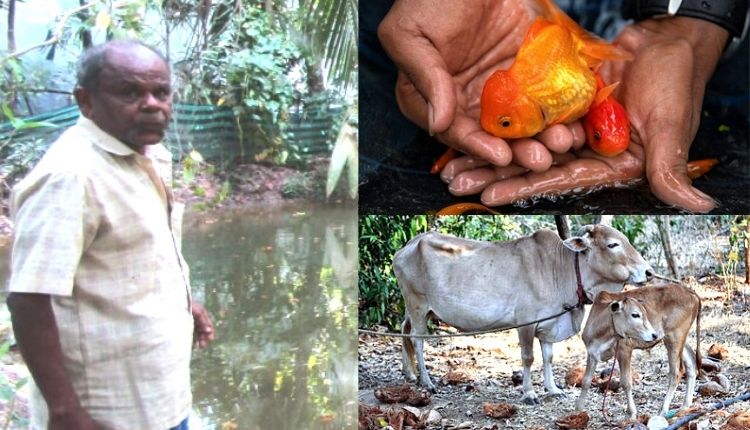 एकीकृत कृषि (Integrated Farming)