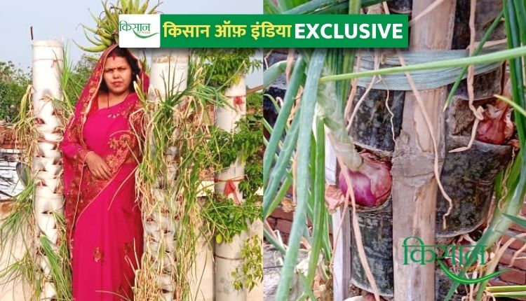 bihar sunita prasad PVC pipe vertical garden वर्टिकल गार्डन