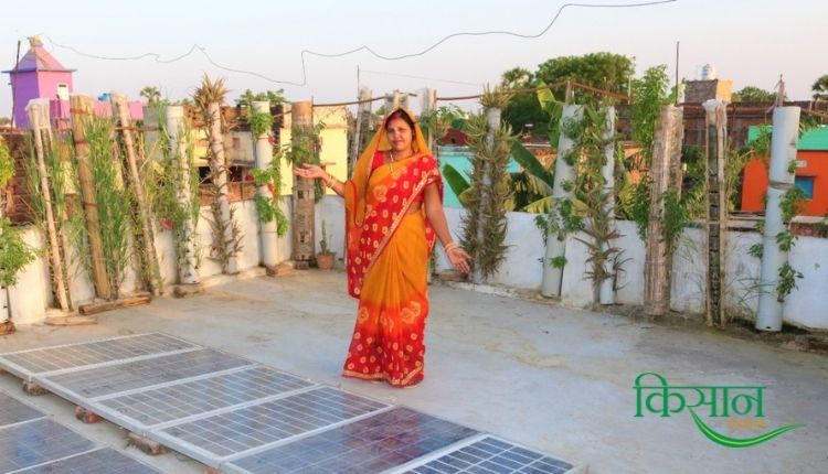 bihar sunita prasad PVC pipe vertical garden वर्टिकल गार्डन