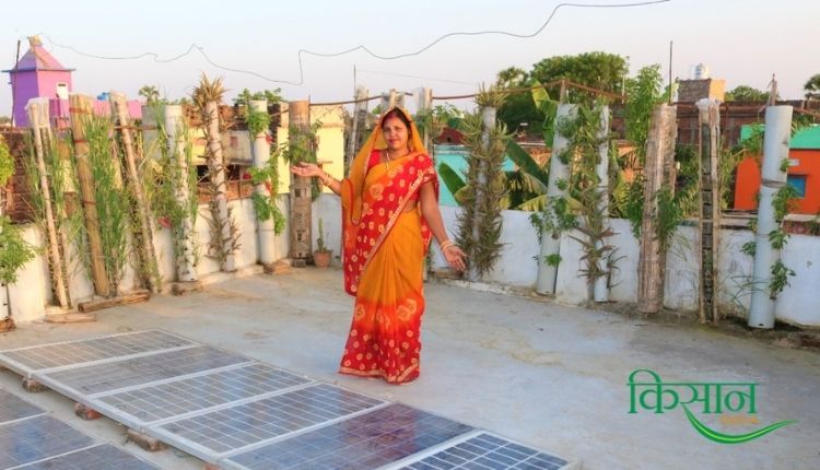 bihar sunita prasad PVC pipe vertical garden वर्टिकल गार्डन