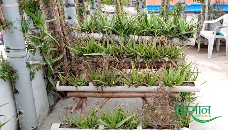 bihar sunita prasad PVC pipe vertical garden वर्टिकल गार्डन