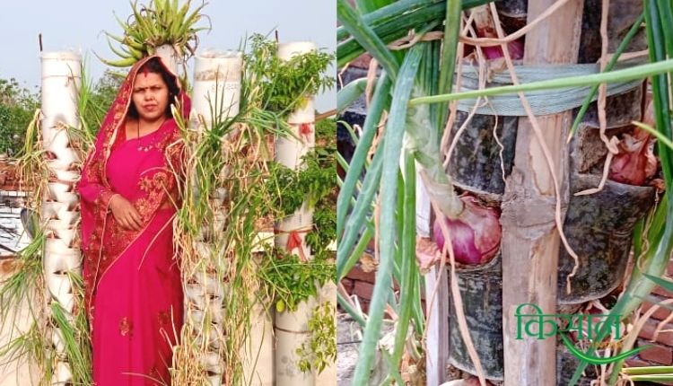 bihar sunita prasad PVC pipe vertical garden वर्टिकल गार्डन