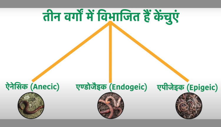 वर्मीकम्पोस्ट बिज़नेस (Vermicompost Business) पर खास सीरीज़, पार्ट 2: वर्मीकम्पोस्टिंग के गुरु अमित त्यागी से जानिए बेड बनाने का कौन सा तरीका सबसे बेहतर? 