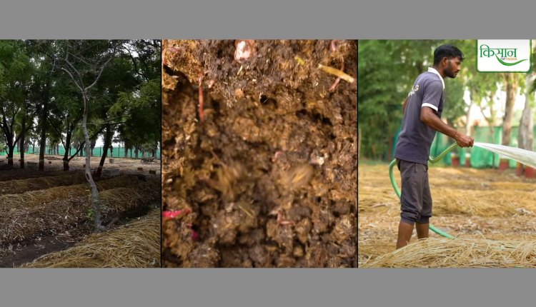 वर्मीकम्पोस्ट बिज़नेस (Vermicompost Business) पर खास सीरीज़, पार्ट 2: वर्मीकम्पोस्टिंग के गुरु अमित त्यागी से जानिए बेड बनाने का कौन सा तरीका सबसे बेहतर? 