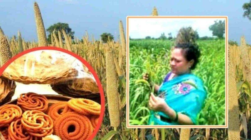 बाजरे की खेती (Millet Farming)