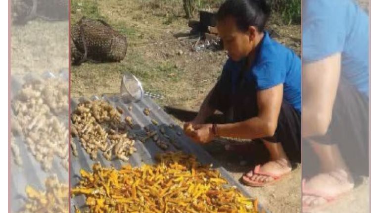 Turmeric cultivation helped her become an entrepreneur