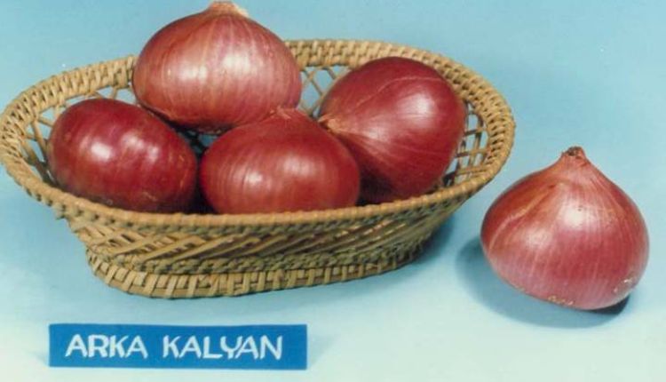 How Onion variety Arka Kalyan increase production by 46 percent ?