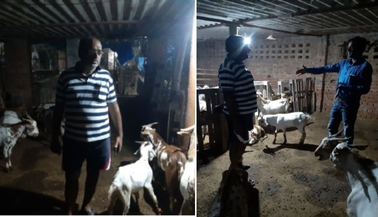 बकरी के साथ मुर्गी पालन goat farming with poultry farming