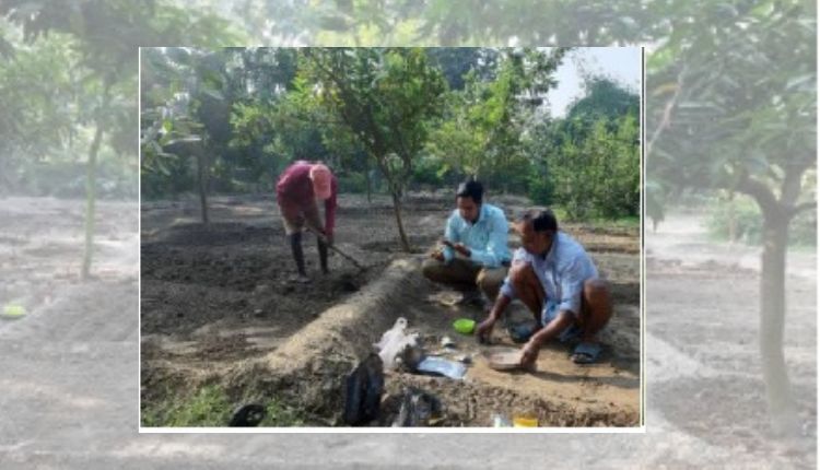 nutritional kitchen garden