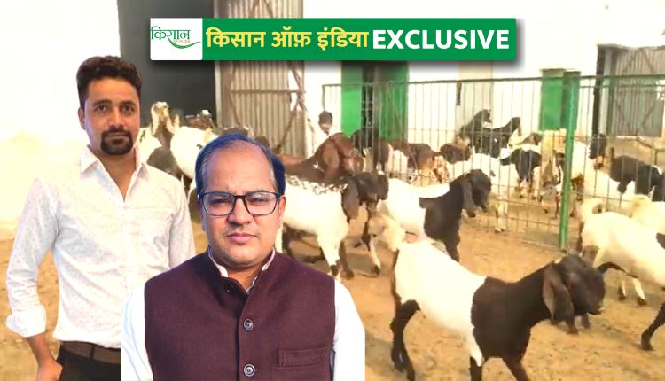 बकरी पालन व्यवसाय goat farming yadivanshi goat farm