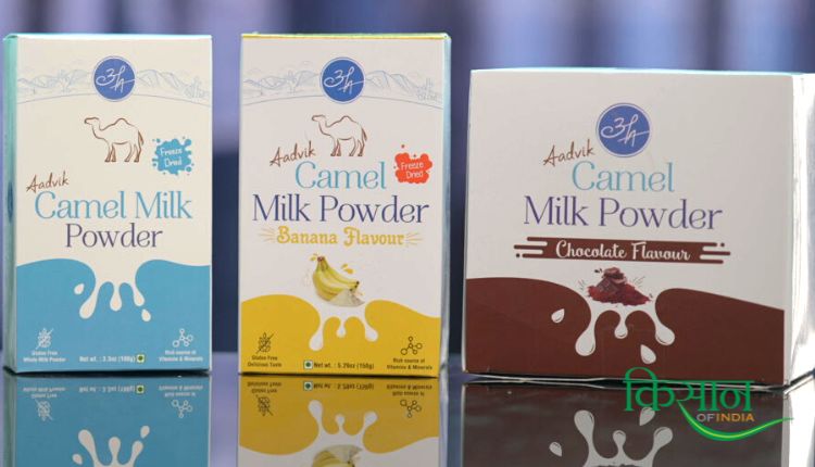 ऊंटनी के दूध camel milk aadvik