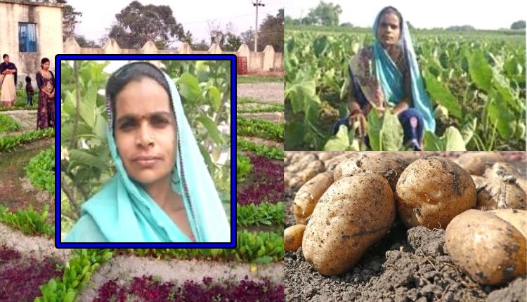 मौसमी सब्ज़ियों की खेती और फसल चक्र seasonal vegetable farming