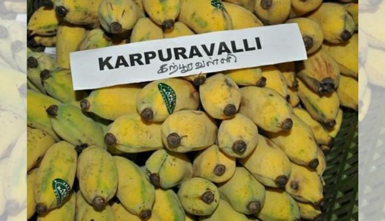 karpooravalli banana variety केले की किस्में