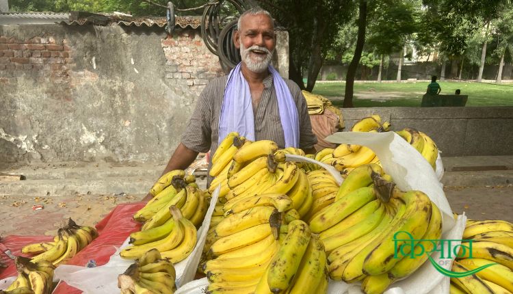 केले की उन्नत किस्में केले की खेती banana varieties