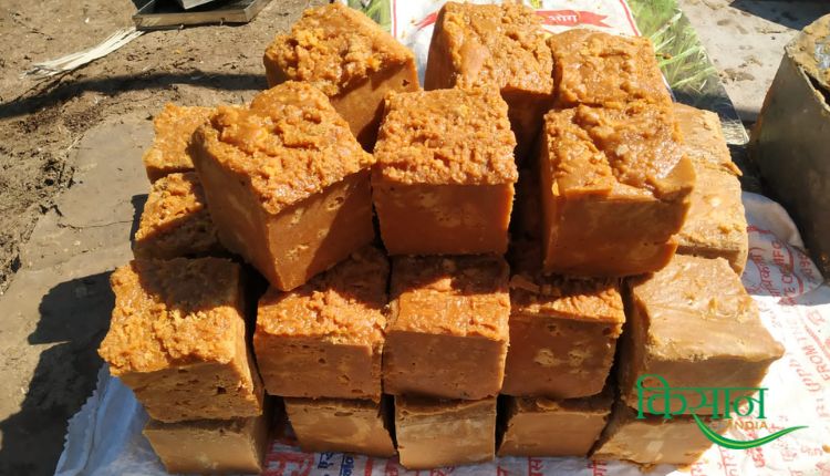 jaivik gur जैविक गुड़ organic jaggery