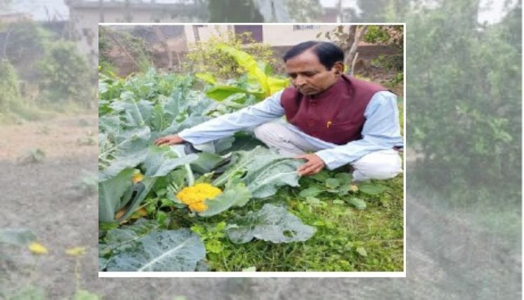 nutritional kitchen garden
