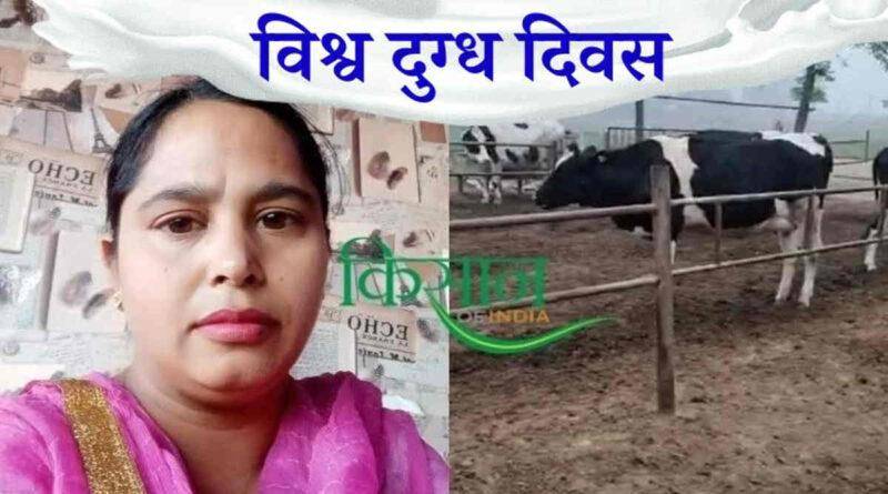 डेयरी फ़ार्म saranjeet kaur dairy farm दूध का उत्पादन