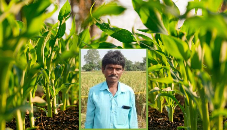 Natural Farming: प्राकृतिक खेती से आंध्र प्रदेश के इस किसान की लागत हुई कम और बढ़ा मुनाफ़ा