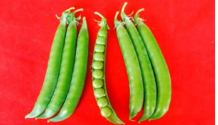 peas