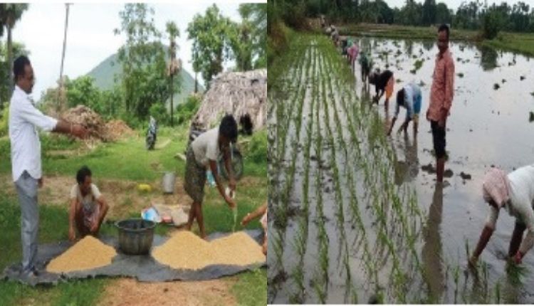 Natural Farming: प्राकृतिक खेती से आंध्र प्रदेश के इस किसान की लागत हुई कम और बढ़ा मुनाफ़ा