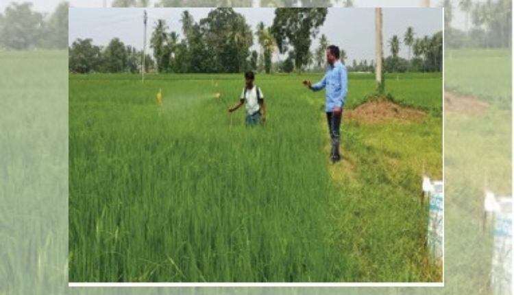 Natural Farming: प्राकृतिक खेती से आंध्र प्रदेश के इस किसान की लागत हुई कम और बढ़ा मुनाफ़ा