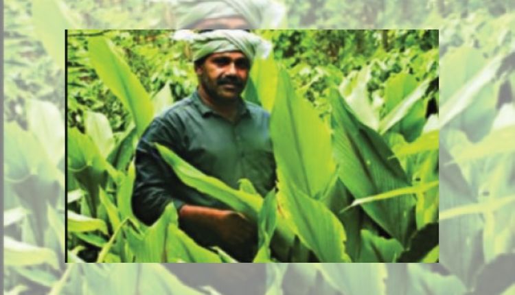 मिश्रित खेती mixed farming tuber man of kerela shaji NM