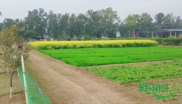 एकीकृत कृषि मॉडल integrated farming model