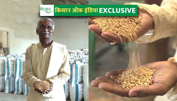बीज उत्पादन: पद्मश्री किसान चंद्रशेखर सिंह seed production padmashri farmer chandrashekhar singh
