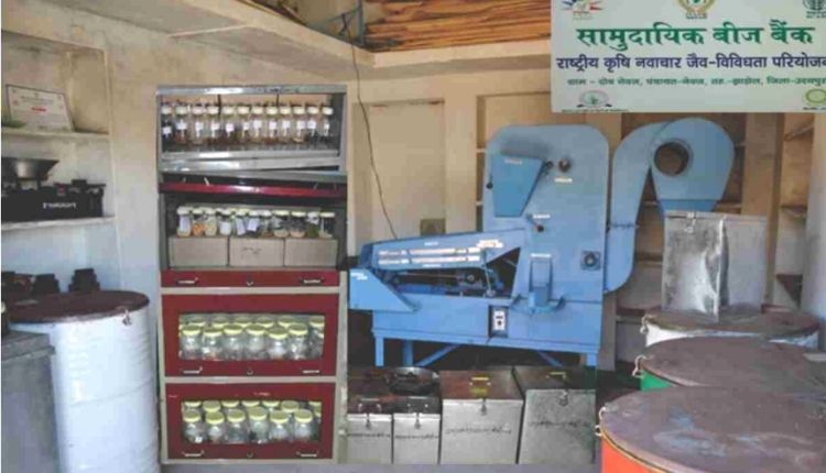 बीजों का संरक्षण save seeds seed bank