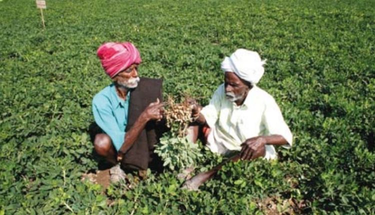 बीजों का संरक्षण save seeds seed bank