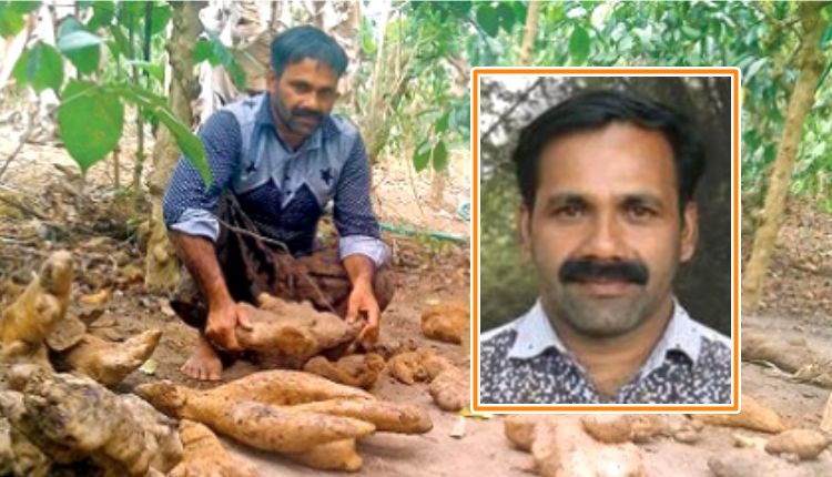 मिश्रित खेती mixed farming tuber man of kerela shaji NM