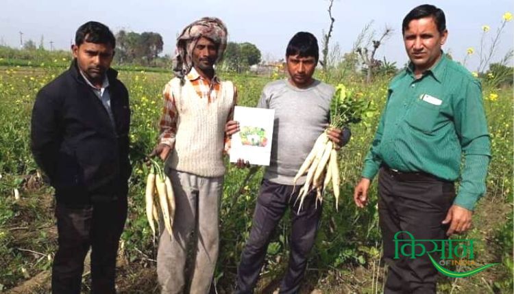 बीज उत्पादन हरजीत सिंह ग्रेवाल (seed production harjeet singh grewal)