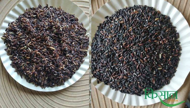 coloured rice