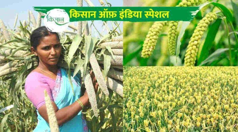 मोटे अनाज की खेती 1 millets farming