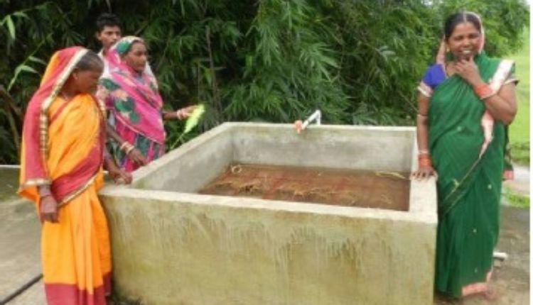 मशरूम उत्पादन mushroom farming