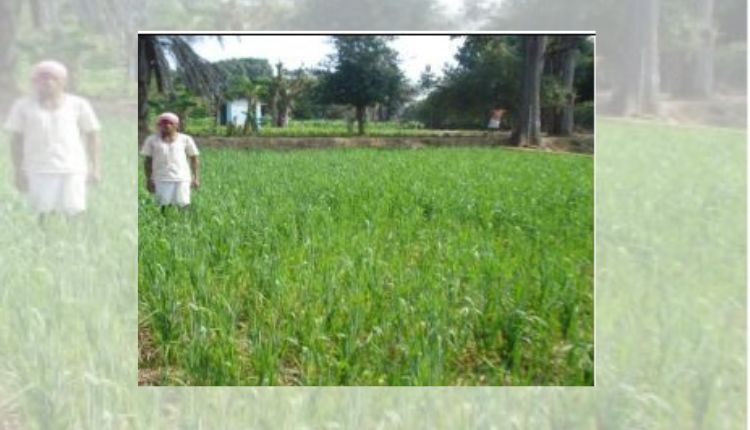 एकीकृत कृषि मॉडल integrated farming model