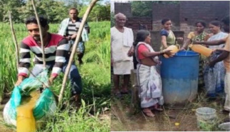 प्राकृतिक खेती natural farming