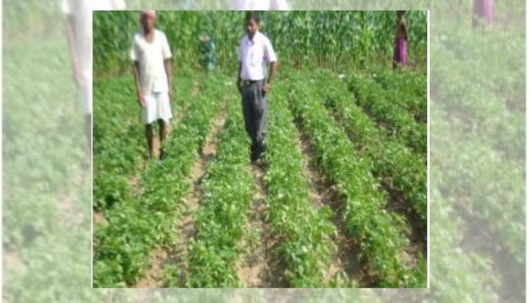 एकीकृत कृषि मॉडल integrated farming model