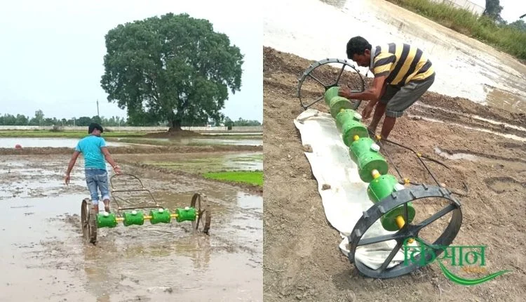 धान की खेती paddy farming