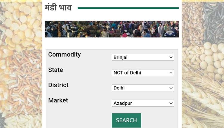 दिल्ली मंडी भाव delhi mandi bhav