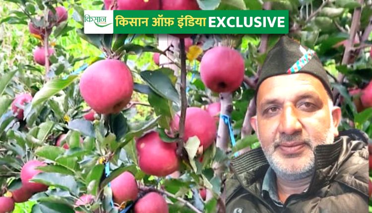 हाई डेंसिटी तकनीक से सेब की खेती high density method in apple farming