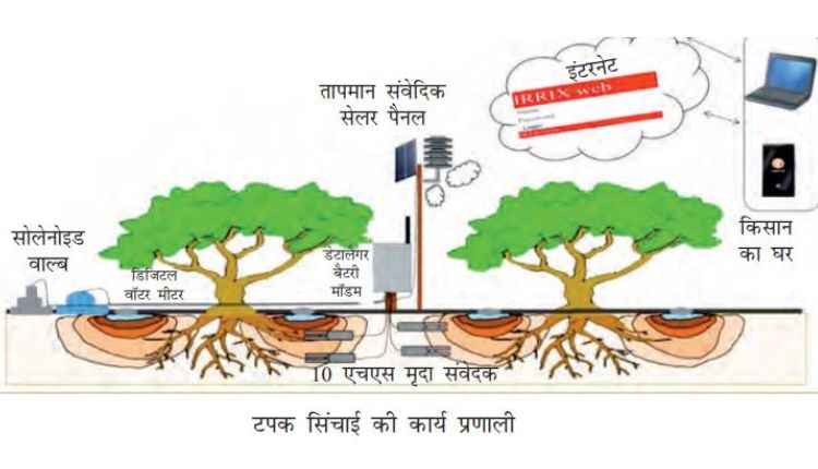 Drip irrigation: टपक सिंचाई सिस्टम