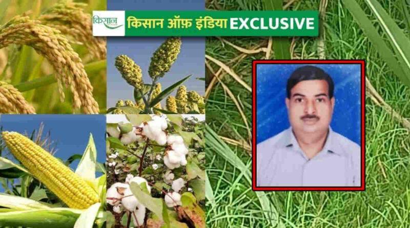खरपतवारों की रोकथाम weed management in kharif crops