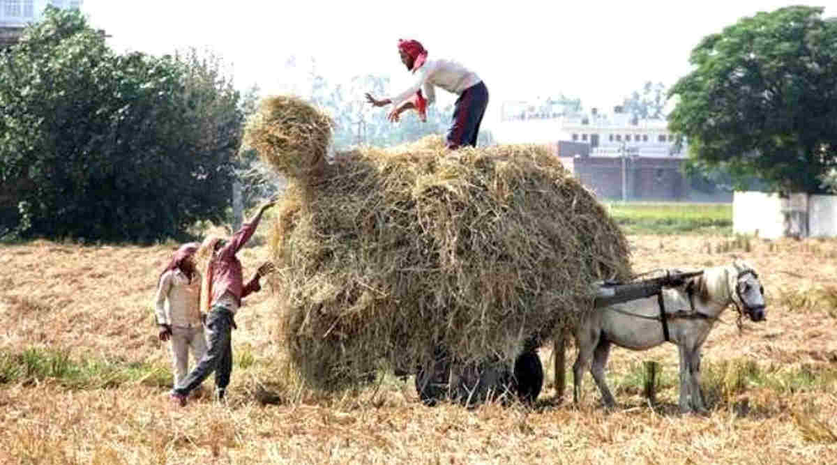पराली के इस्तेमाल best out of waste from paddy straw 