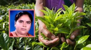 महिला किसान maharashtra lady plant doctor