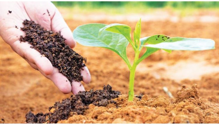 Natural Farming