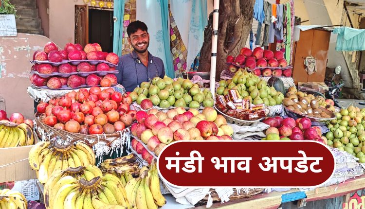 दिल्ली मंडी भाव फलों का मंडी भाव (Fruit Market Mandi Bhav)